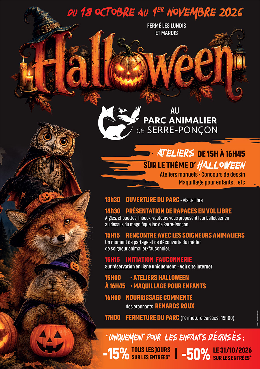 Halloween : du 18 octobre au 1er novembre 2026